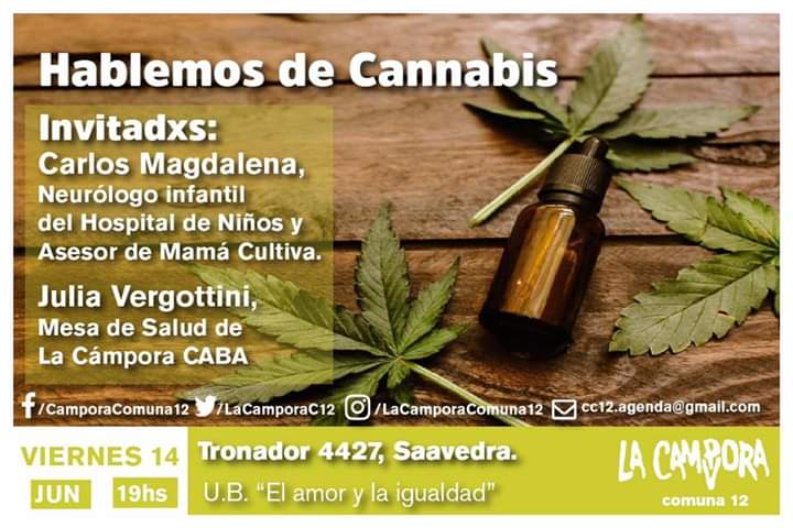 charla cannabis saavedra