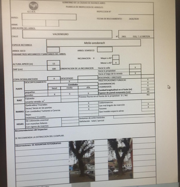 informeextraccion