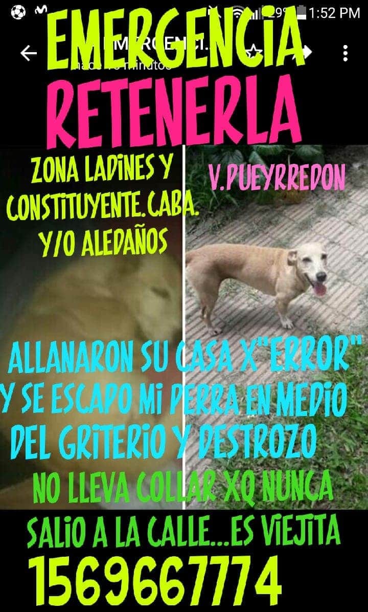 docenteperra