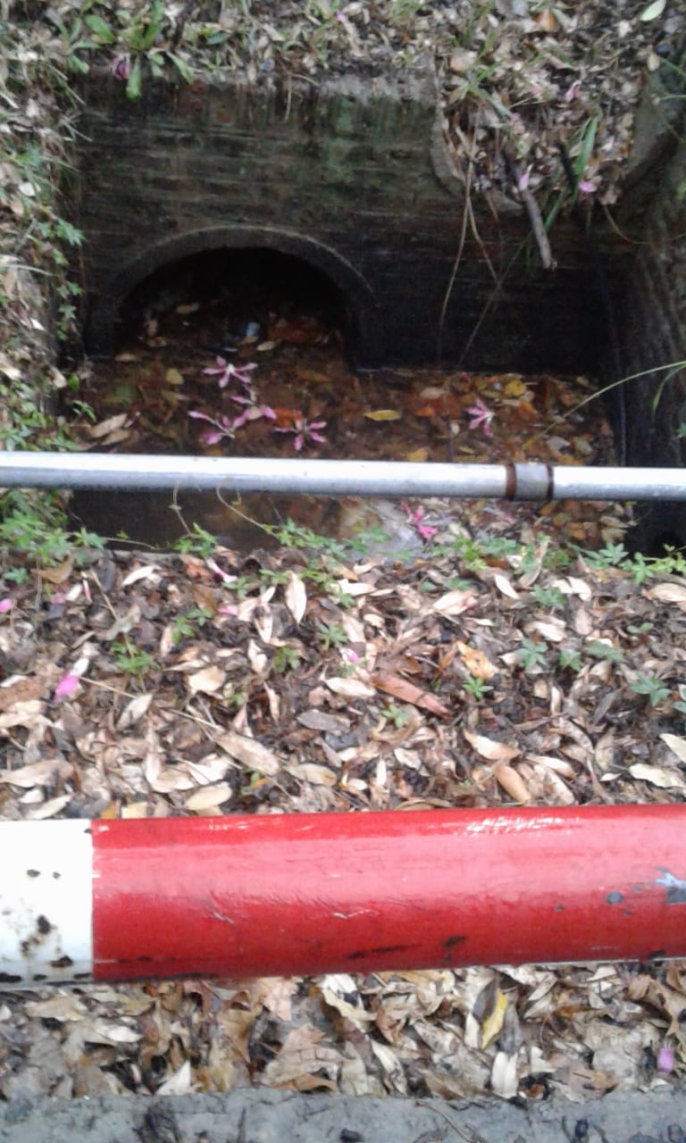 alcantarilla dengue 2
