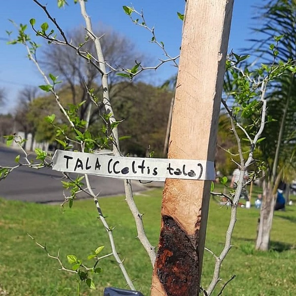vecinos por la ecologia
