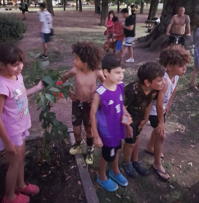 arbol