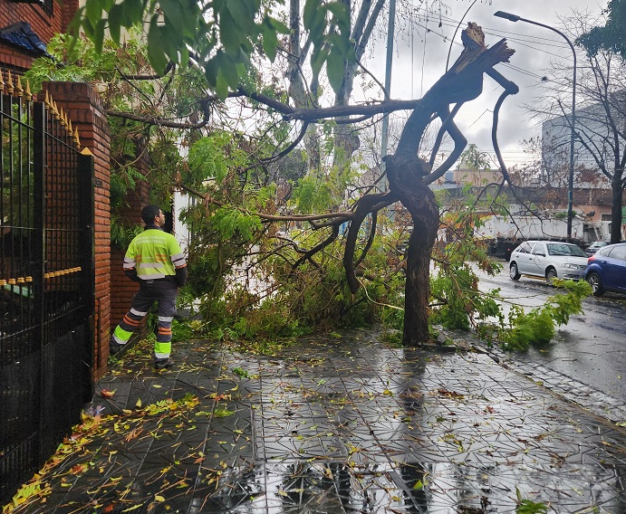 Anegamientos y árboles caídos en la Comuna 12 tras el fuerte temporal