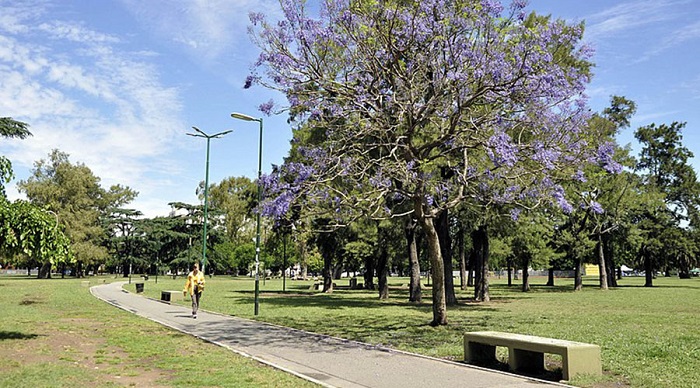 parquesaav