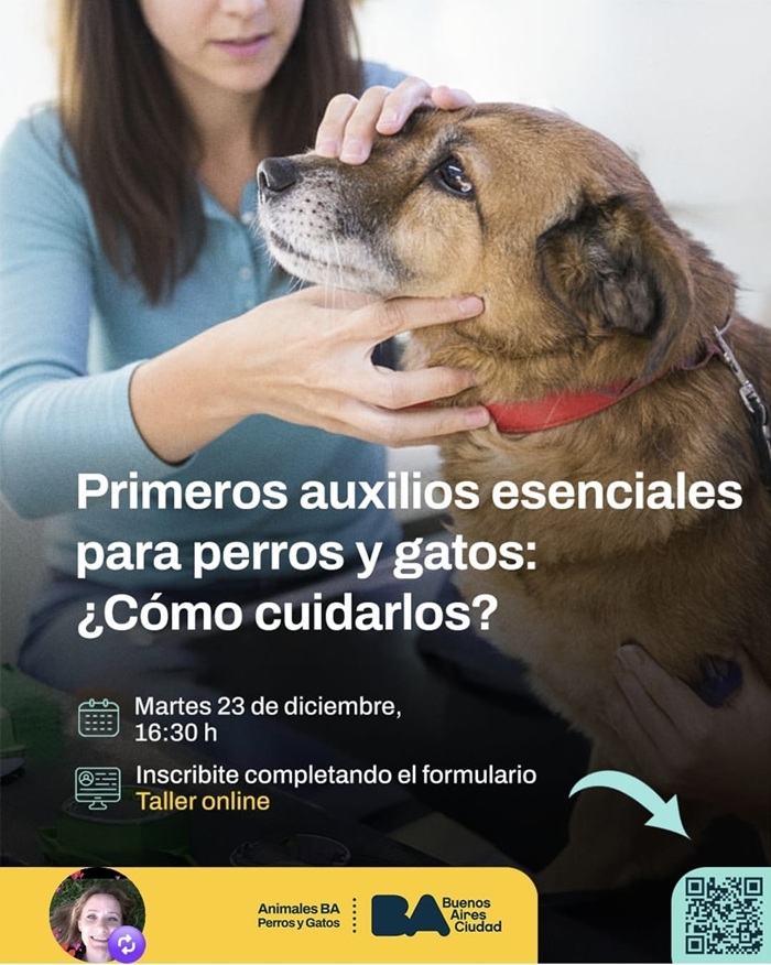 flyerbamascotas