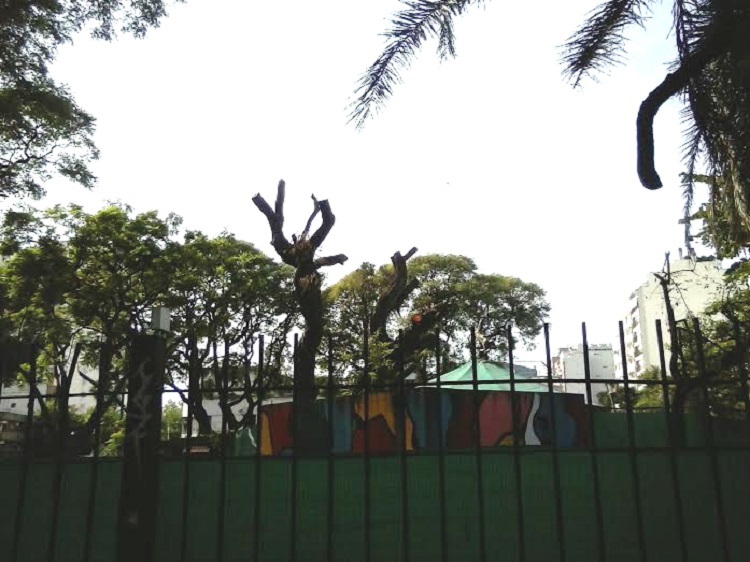 plaza echeverria