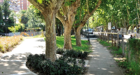 plaza coghlan