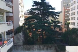 arbol centenario villa urquiza