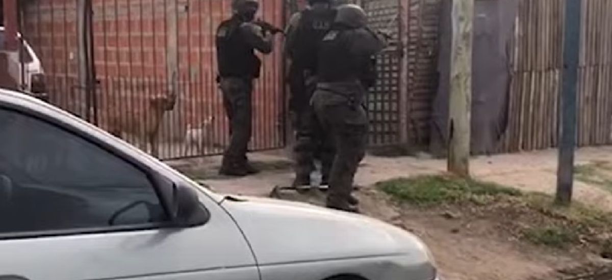 viuda negra saavedra