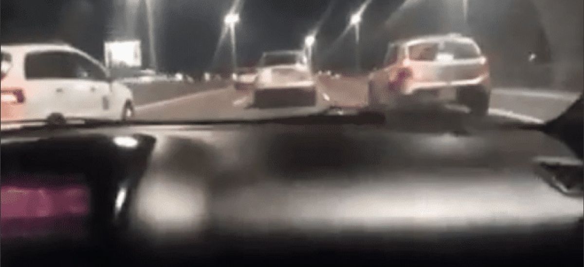 picadas panamericana