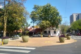 san isidro labrador