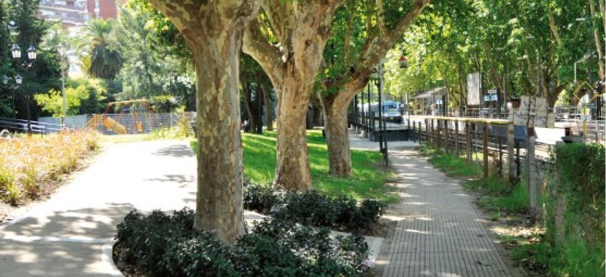 plaza coghlan