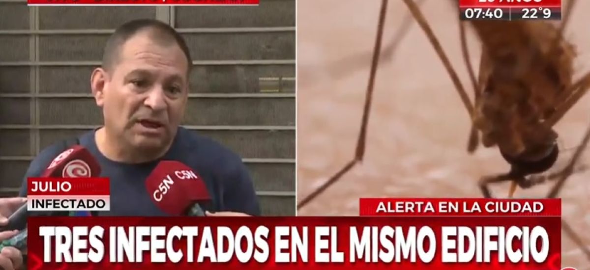 dengue coghlan
