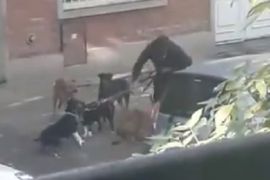 paseador perros villa urquiza