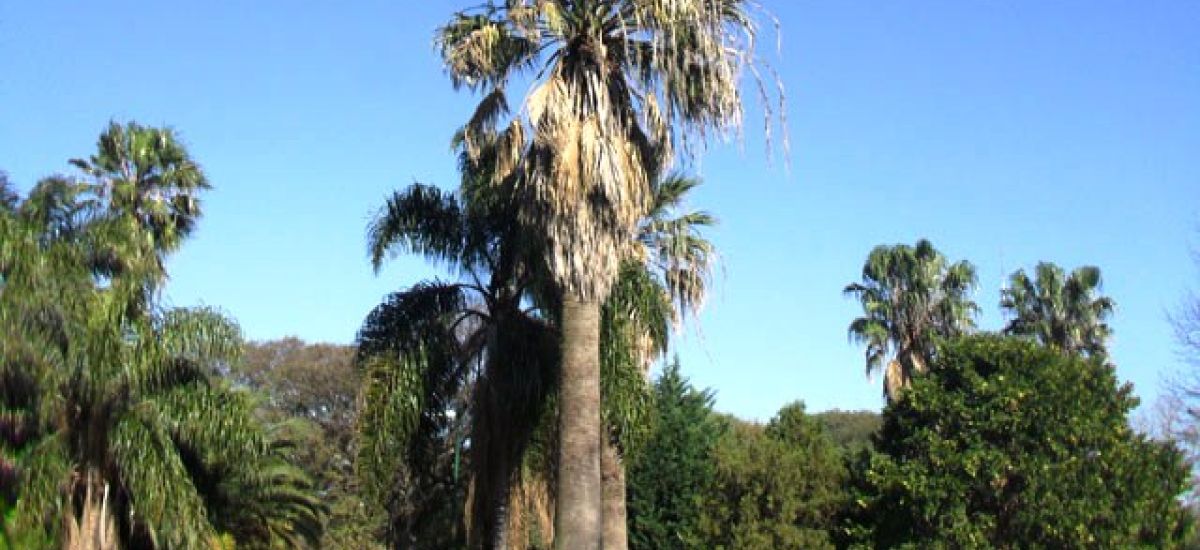 parque carlos mugica
