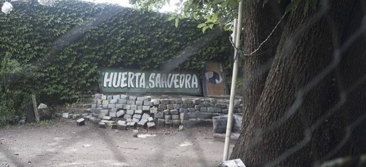 huerta de saavedra