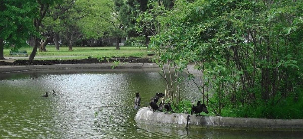 laguna parque gral paz