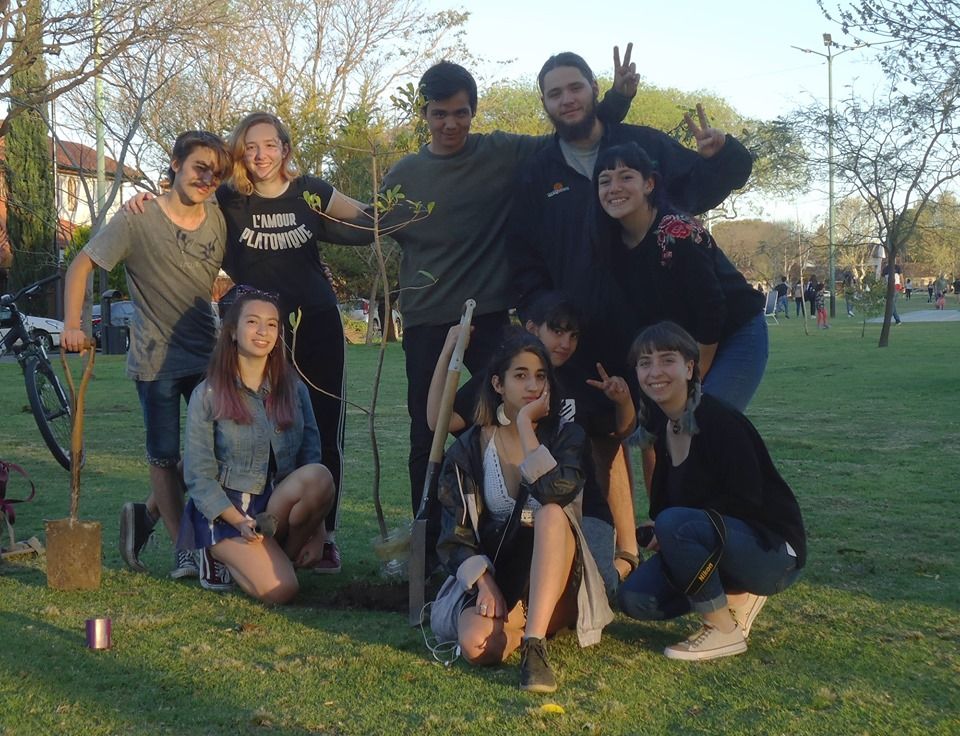 árboles nativos2