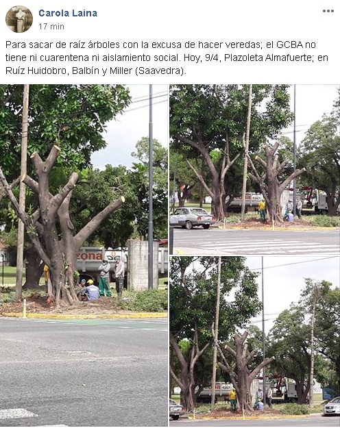 plazaalmafuertepost
