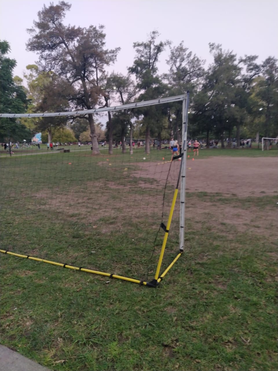 deportepsaavedrados