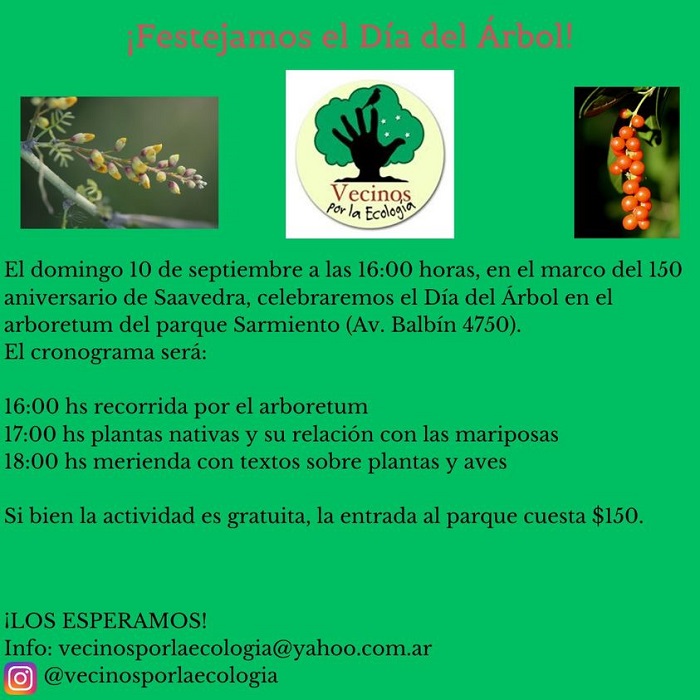 diadelarbol2