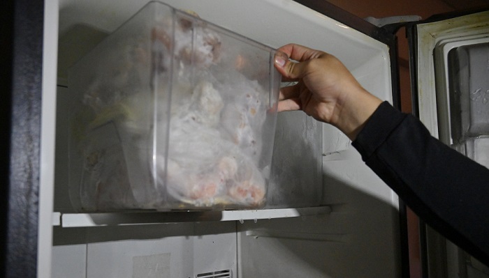 gatoscongelados