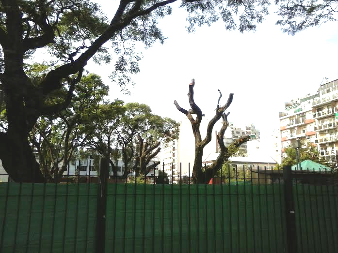 plaza echeverria
