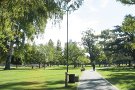 parque saavedra