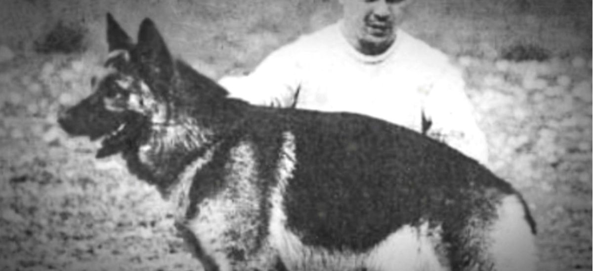chonino